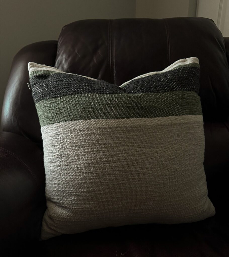 Pillow - Small Masculine Office