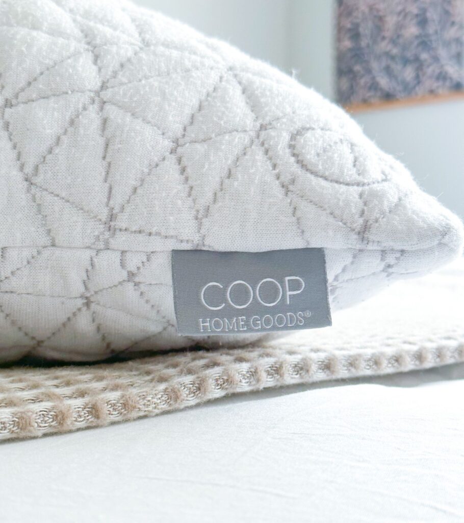 Coop Home Goods Pillow Review