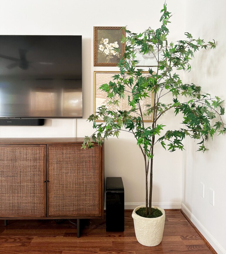 5 Very Sneaky Ways to Hide Wires From Wall Mounted TV - Home By Alley