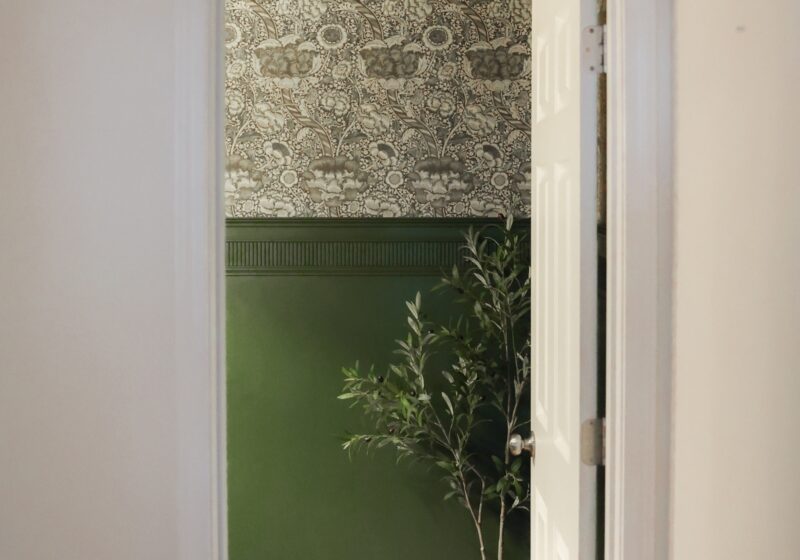 A room featuring one of the best dark green paint colors on the lower half of the walls, paired with decorative wallpaper above. A tall potted plant in a white pot adds a fresh, natural touch to the space.