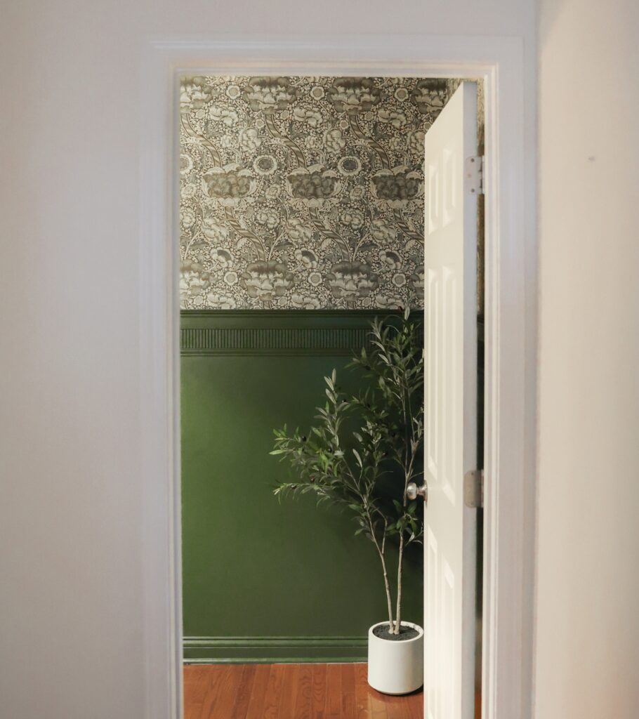 A room featuring one of the best dark green paint colors on the lower half of the walls, paired with decorative wallpaper above. A tall potted plant in a white pot adds a fresh, natural touch to the space.