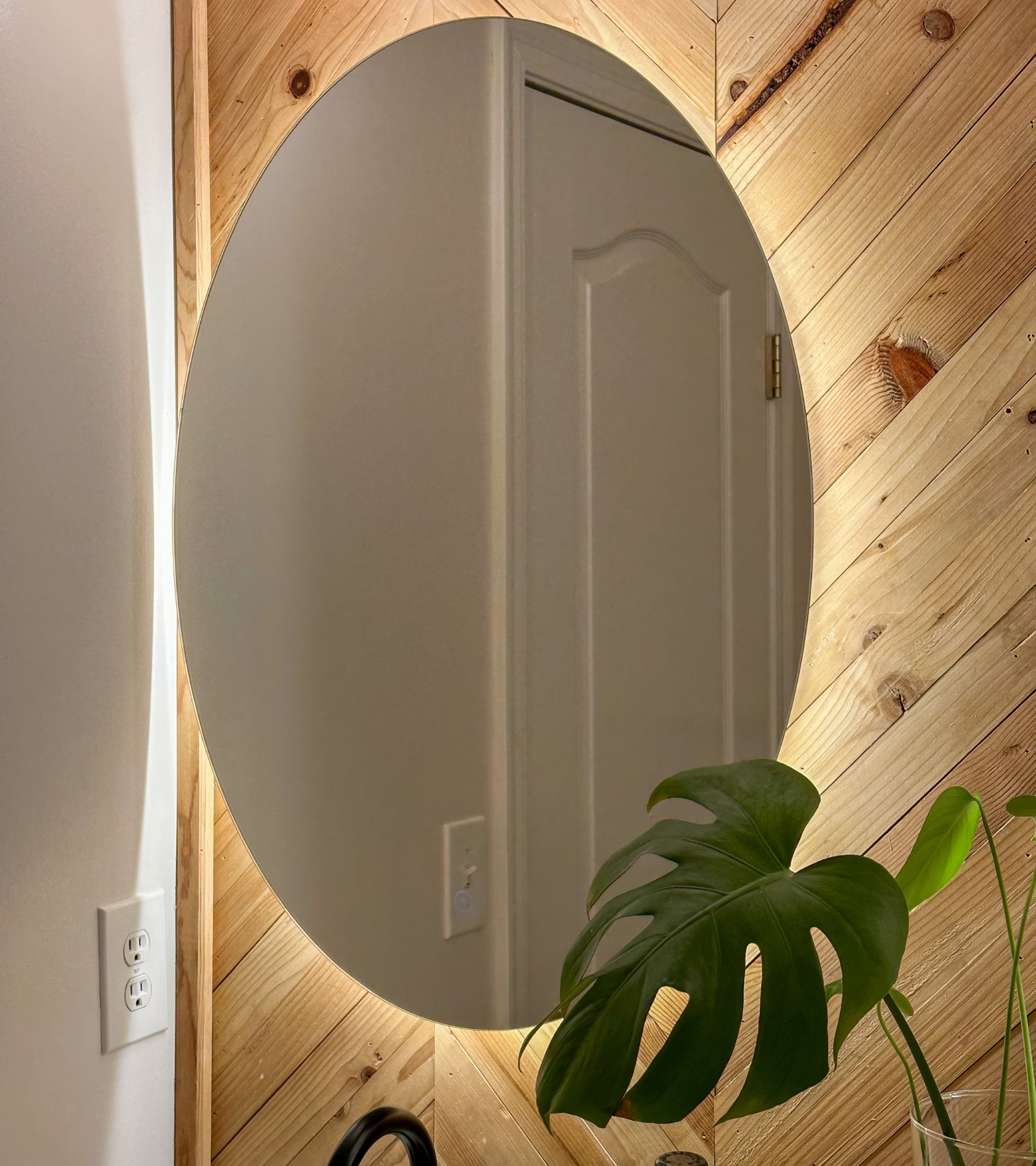 Bathroom Plants That Look AMAZING and Are Shockingly Easy to Keep Alive ...