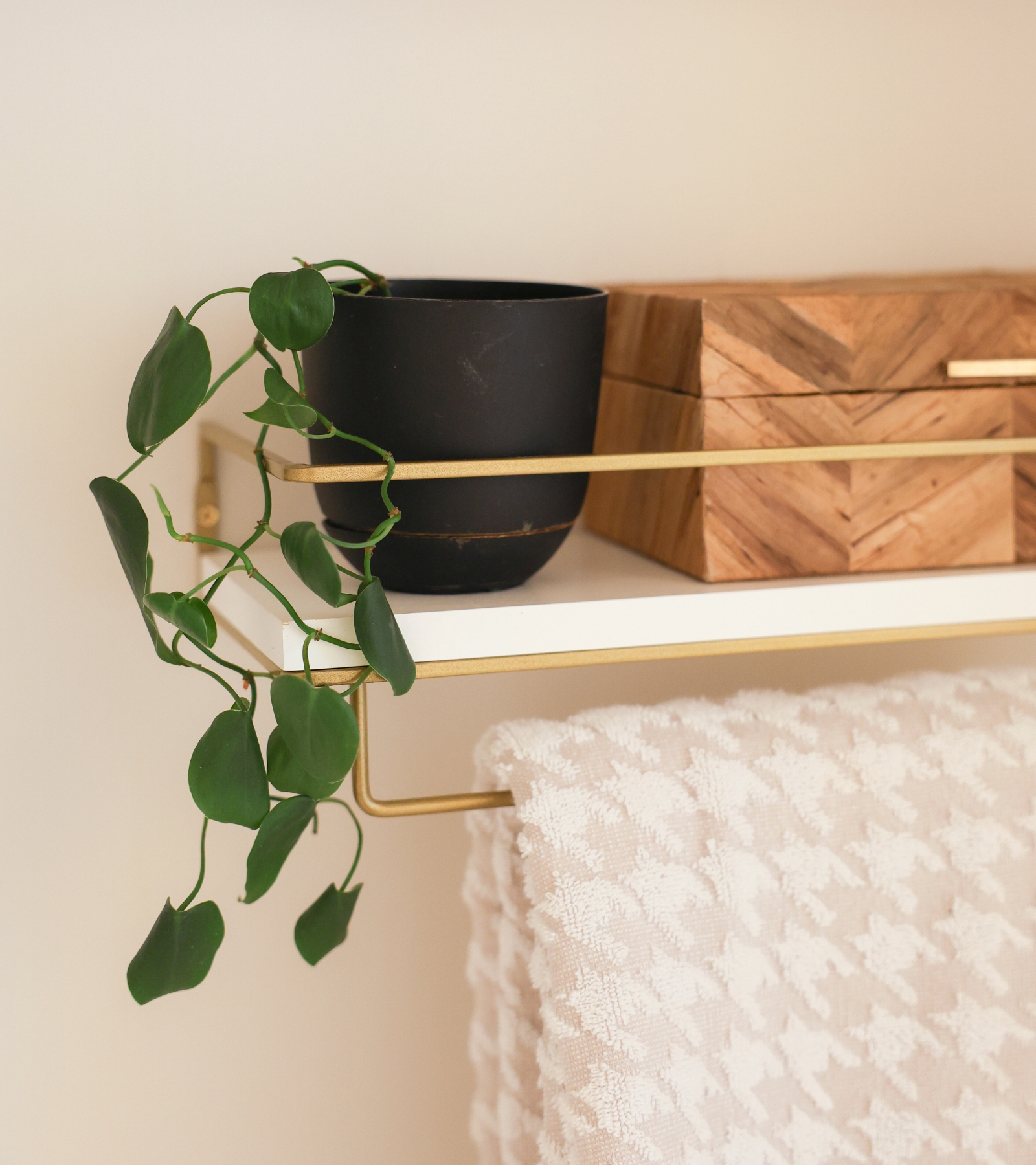 Bathroom Plants That Look AMAZING and Are Shockingly Easy to Keep Alive ...