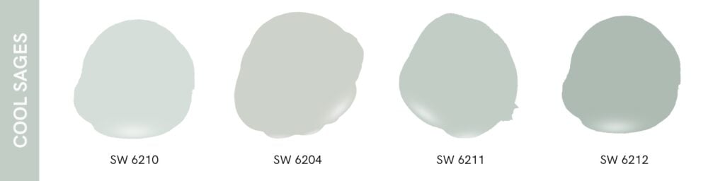Four different Sherwin William sage green paint swatches options all with a slight blueish/green undertone, leaning on the cooler side.